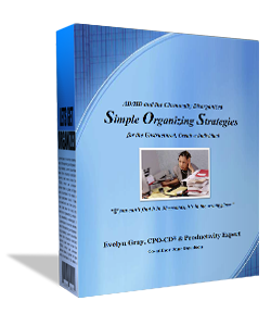 Simple Organizing Strategies Book by Evelyn Gray